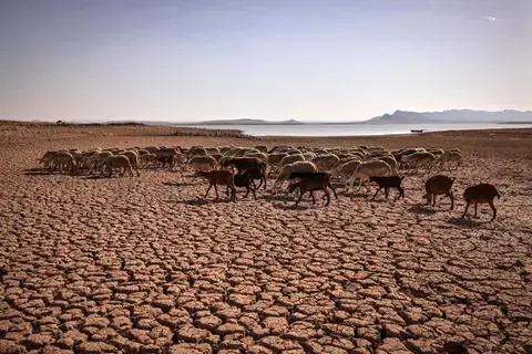 الزراعة المغربية في مهب أسوأ دورة جفاف منذ مطلع الثمانينات