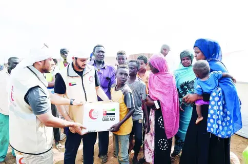 قانونيون: رفض «العدل الدولية» لدعوى الجيش السوداني سابقة في تاريخ التقاضي الدولي قانونيون: رفض «العدل الدولية» لدعوى الجيش السوداني سابقة في تاريخ التقاضي الدولي