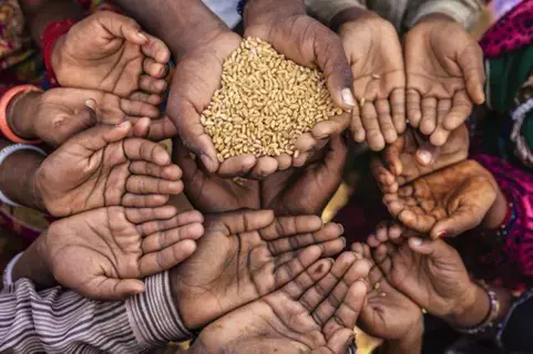انتشار سريع لانعدام الأمن الغذائي الحاد في جميع أنحاء العالم