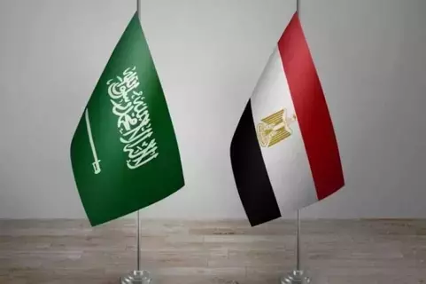 تشكيل مجلس الأعمال السعودي المصري