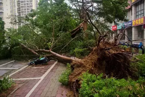 إعصار جنوب الصين يخلف 38 قتيلاً ومصاباً